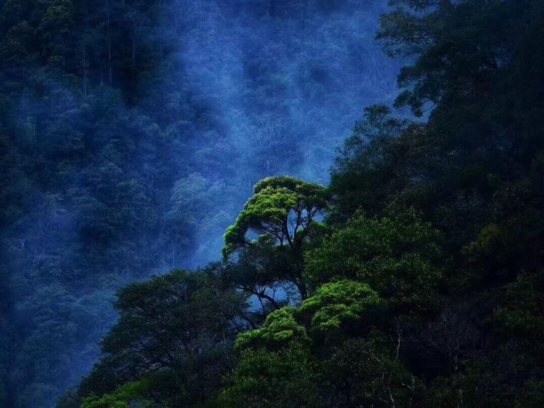 冷知识分享平台-有哪些值得推荐的历史类电视剧?,多彩冷知识尽在有哪些值得推荐的历史类电视剧?