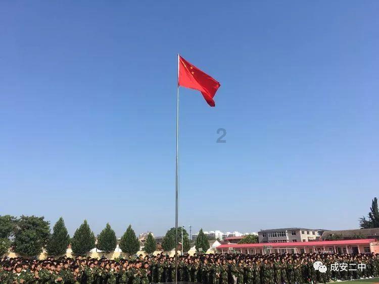 沙皮狗逃离